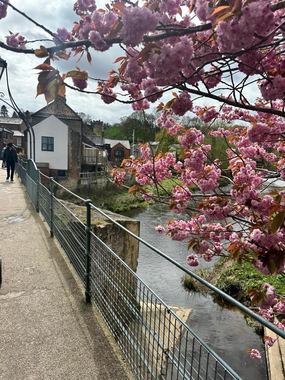 The Secret Cottage - Morpeth Esterno foto