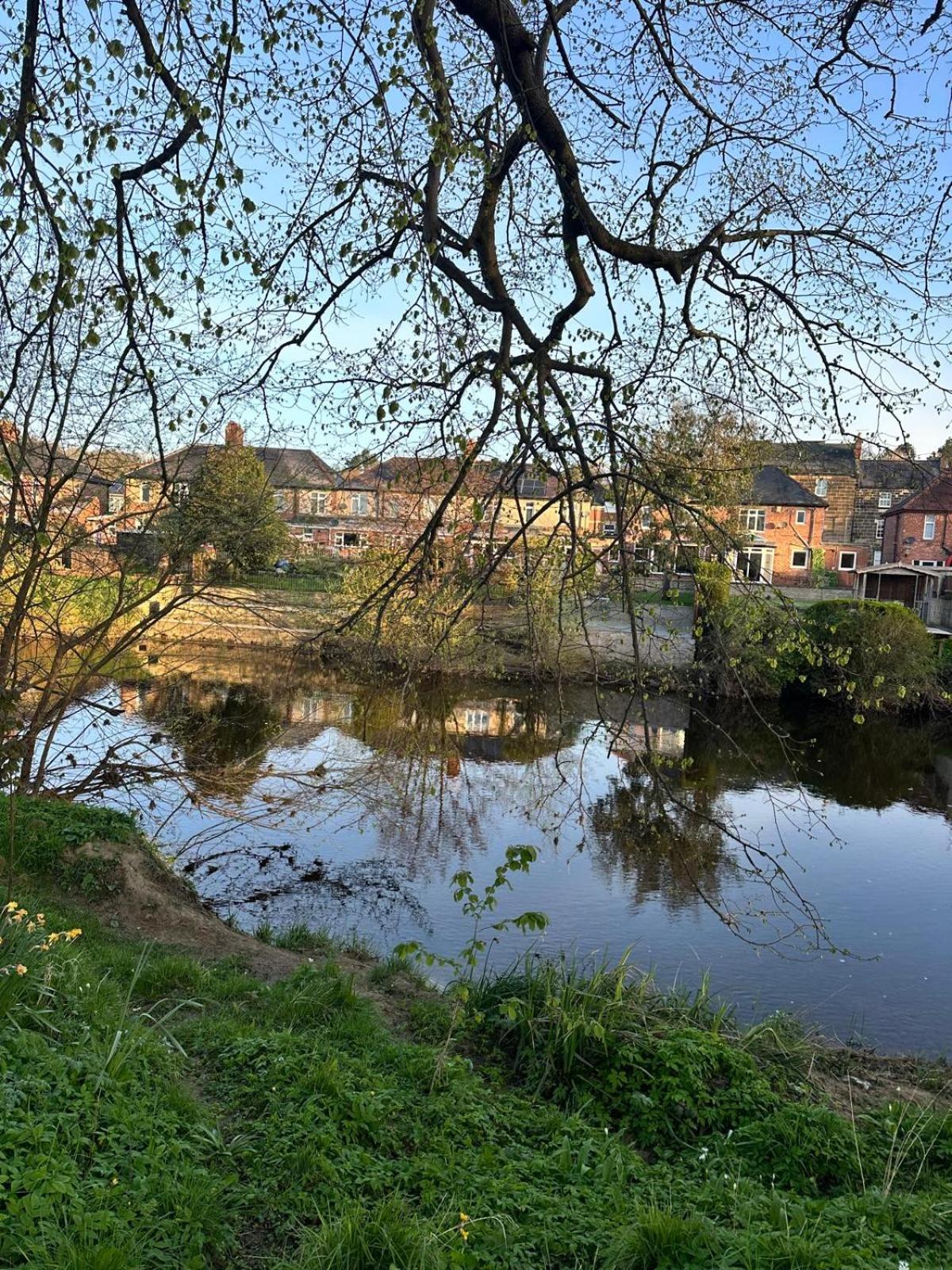 The Secret Cottage - Morpeth Esterno foto