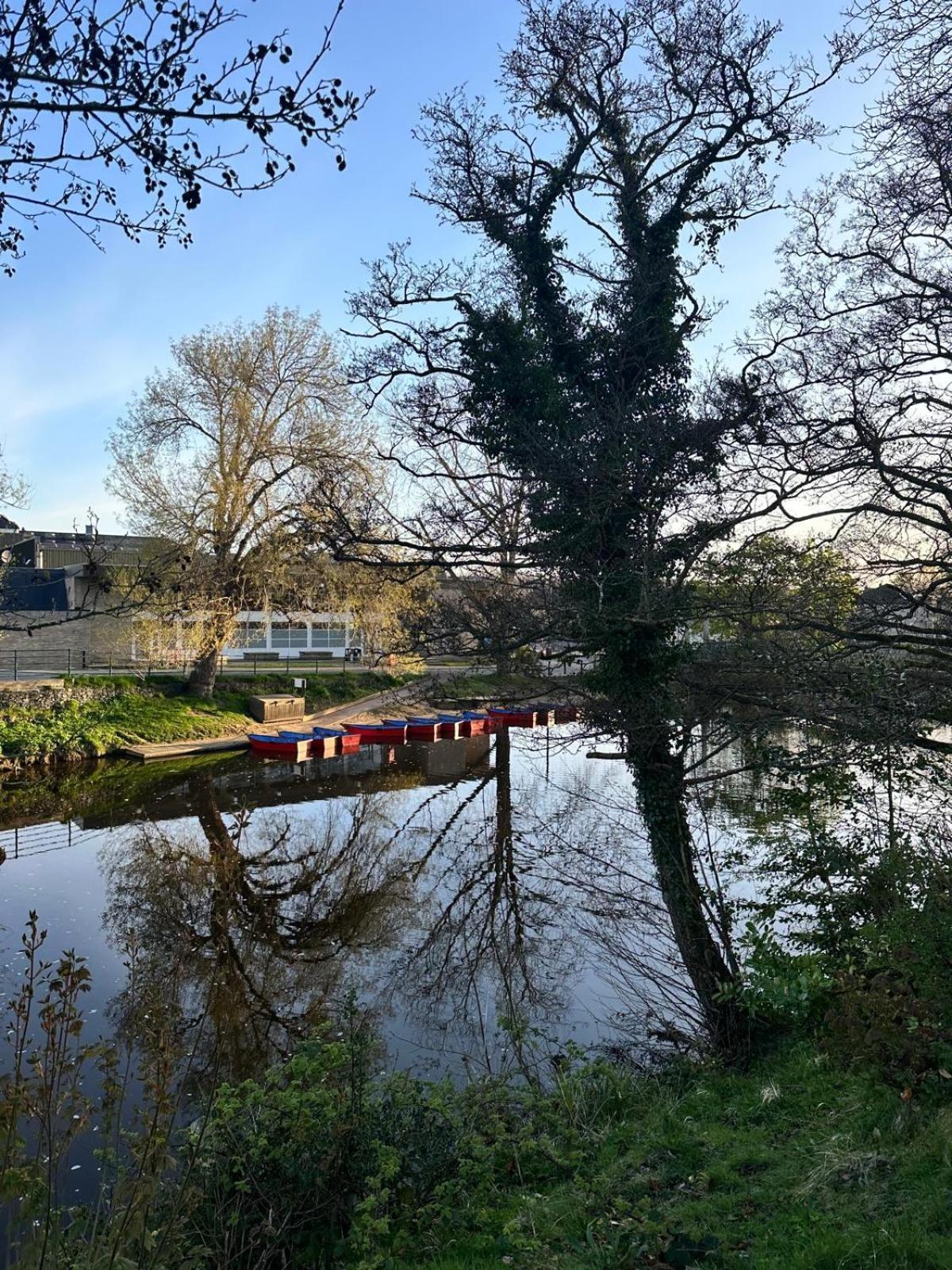 The Secret Cottage - Morpeth Esterno foto